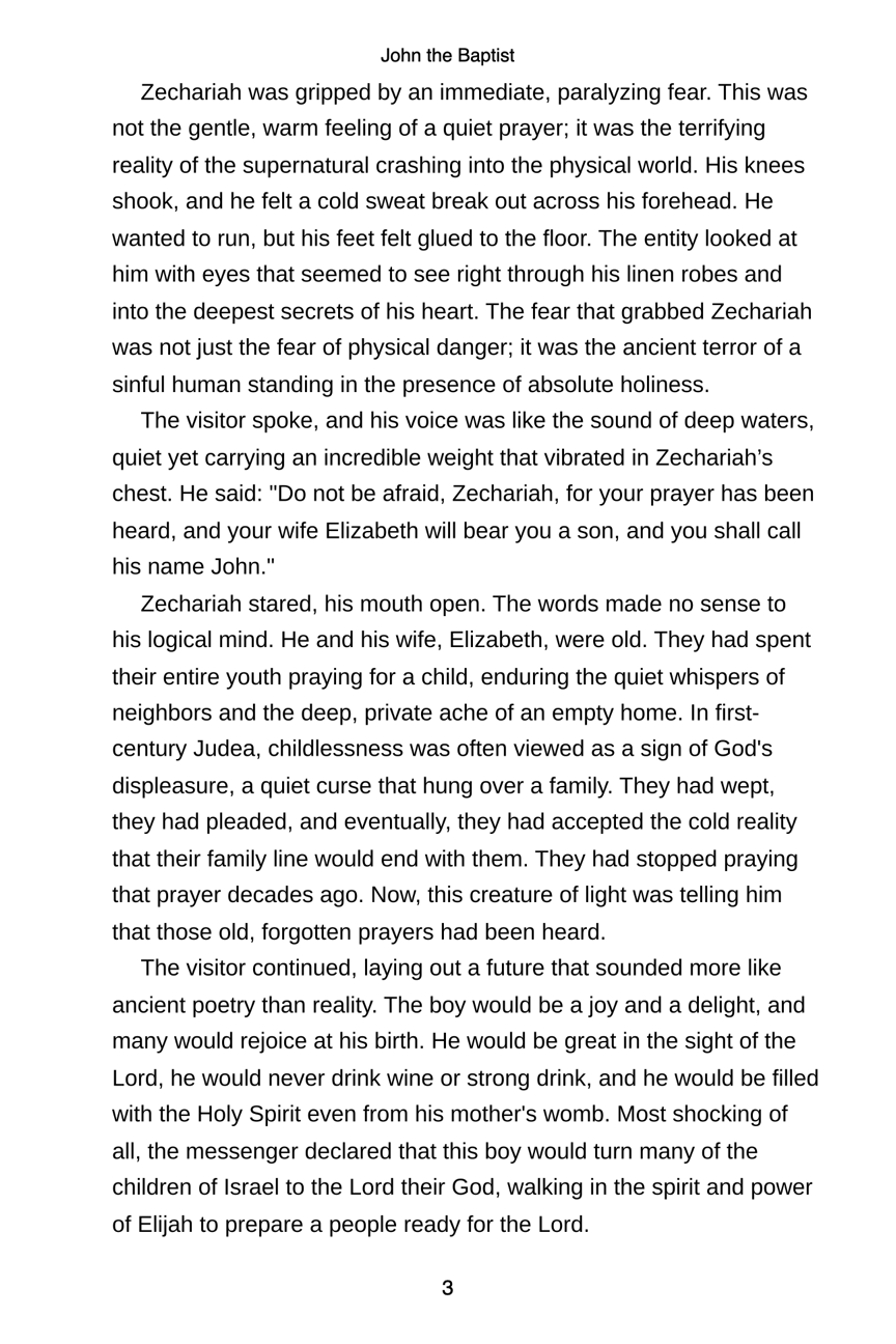 John The Baptist - Paperback
