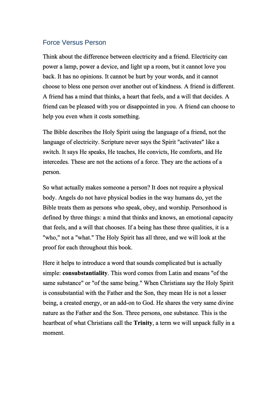 The Third Person – Paperback (401 Pages)
