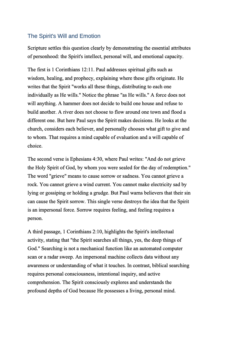 The Third Person – Paperback (401 Pages)