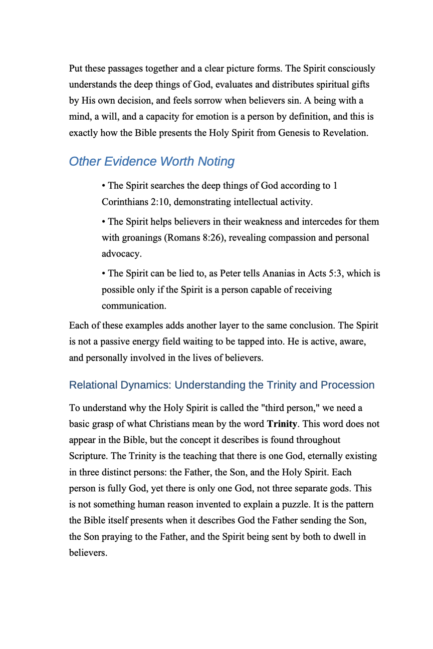 The Third Person – Paperback (401 Pages)