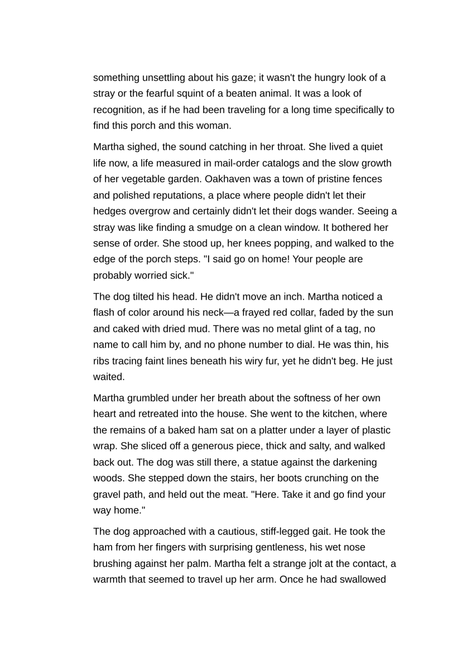 Timeless Evil: Faith Hides a Timeless Evil Only a Woman and Her Dog Can See (480 Pages) – Paperback