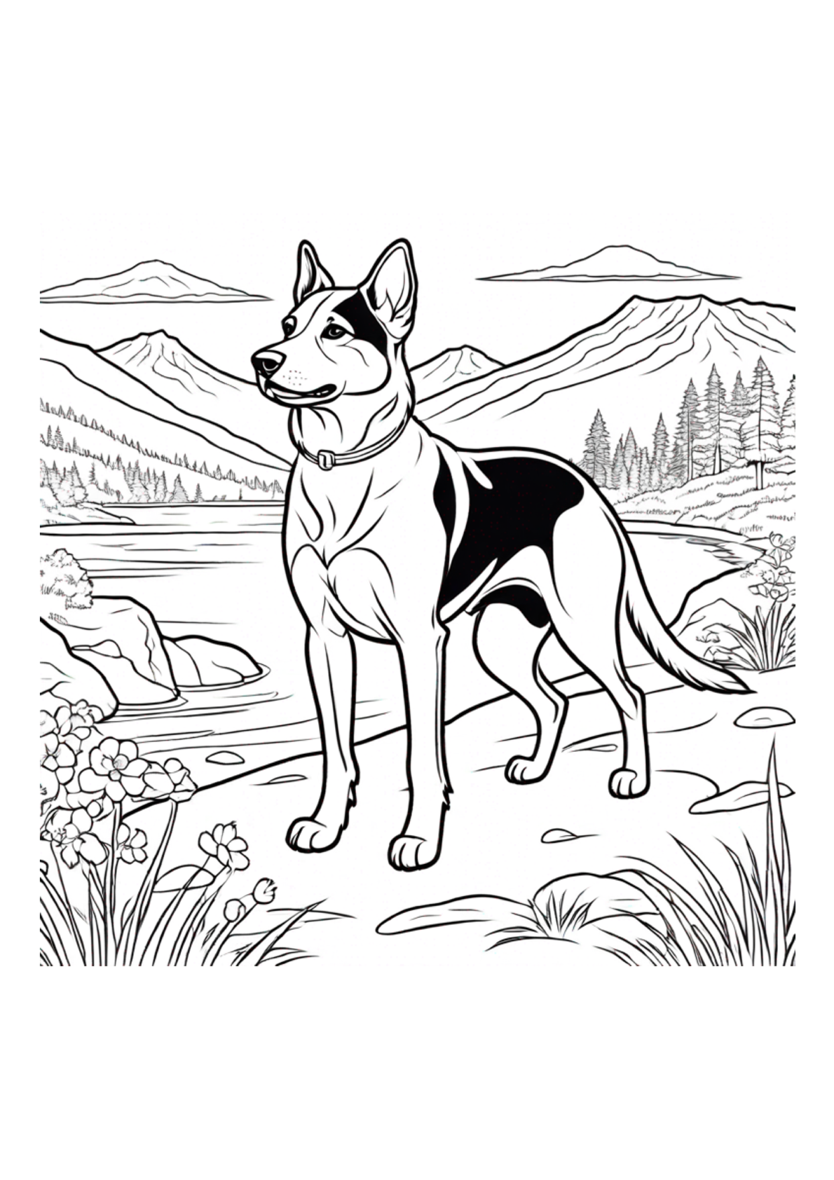 Animals In Oregon - Color Book - Paper Back