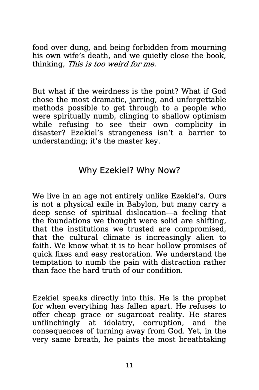 Ezekiel: The Prophet's Story - Paperback