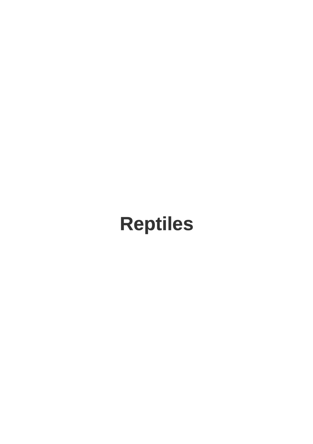 Reptiles - Colorbook - Paperback